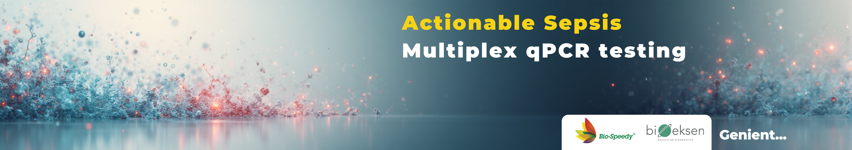 Geninet technologies
               inaugurates new Sales and operations office at Noida