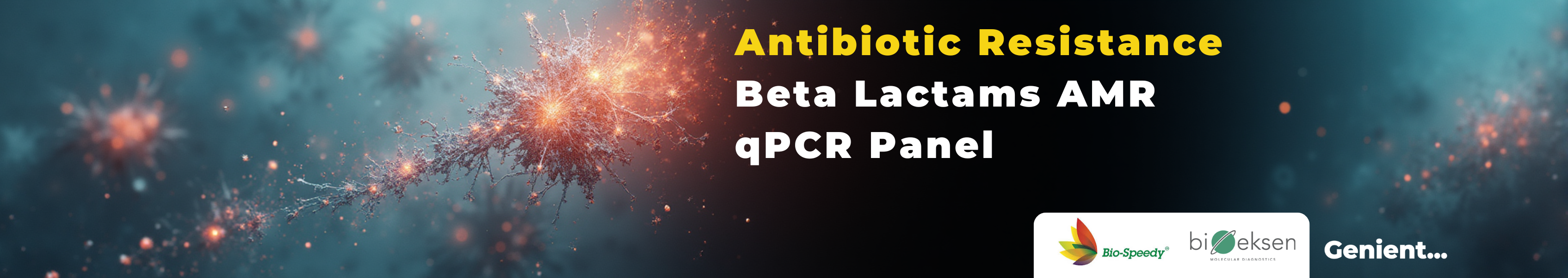 Geninet technologies
               inaugurates new Sales and operations office at Noida